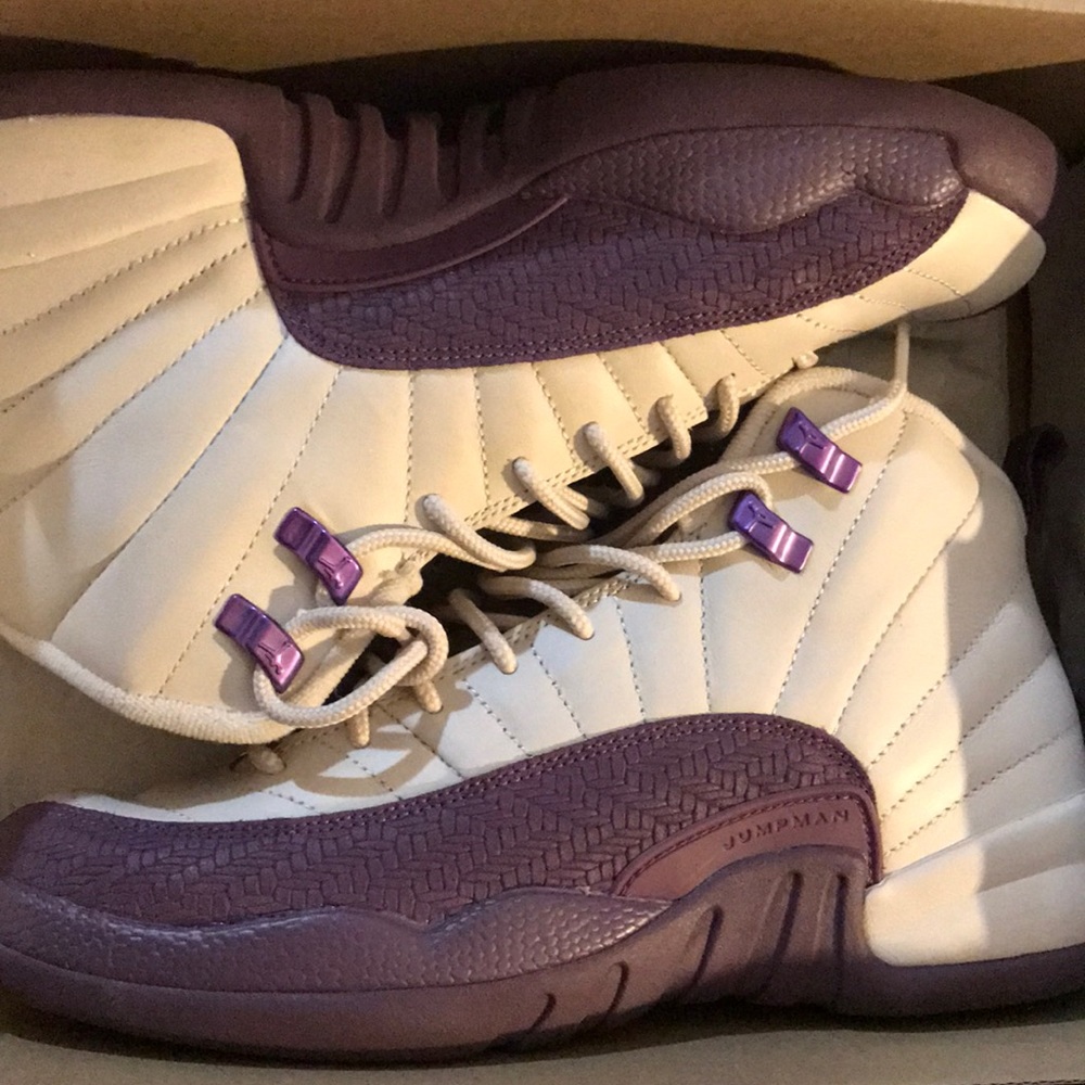 air jordan retro 12